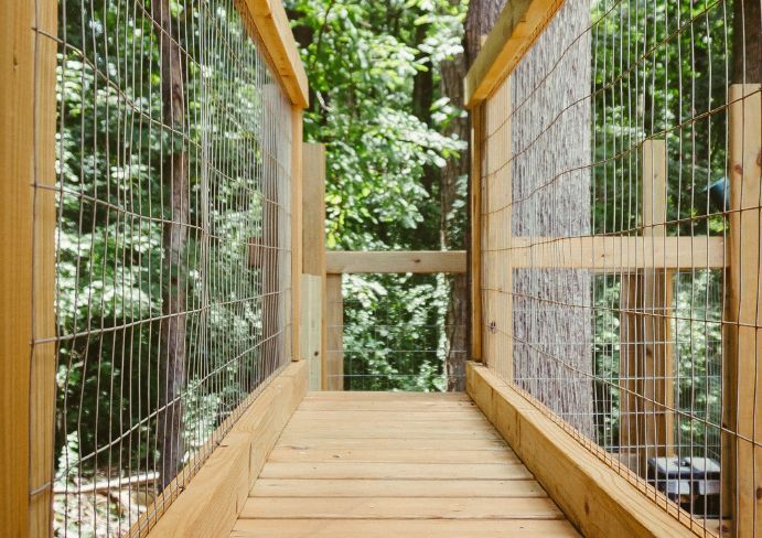 Path inside a Treehouse